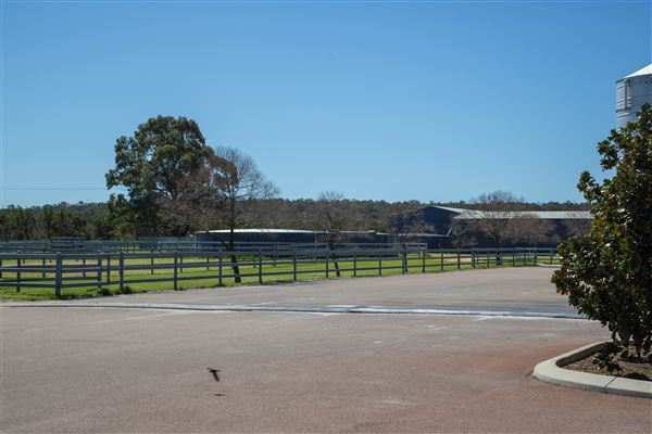 Gold Front Breeding & Racing (11/03/2026 - Credits: Louise Brady)