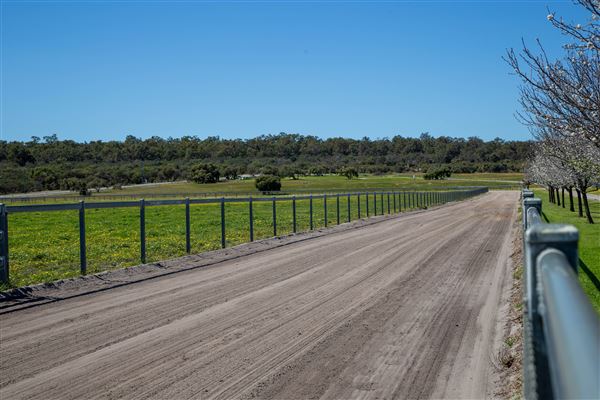 Gold Front Breeding & Racing (11/03/2026 - Credits: Louie Brady)