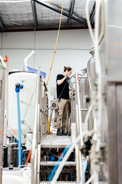 Limestone Coast Brewery (1/05/2026 - Credits: Limestone Coast Malaga)