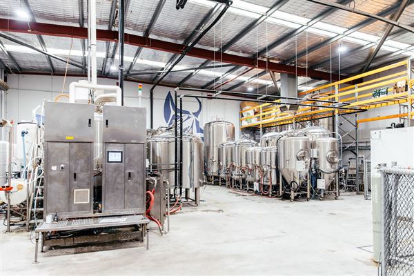 Limestone Coast Brewery (1/05/2026 - Credits: Limestone Coast Malaga)