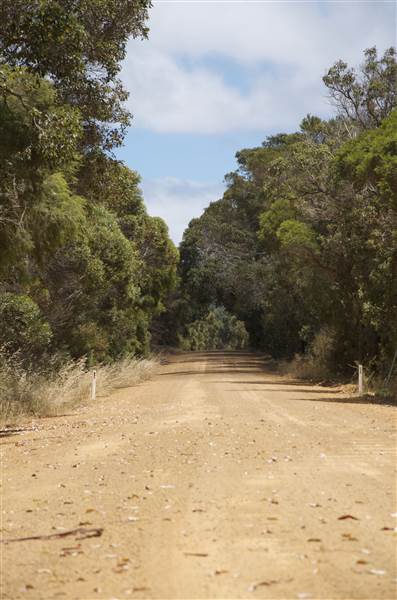 Mount  Richards Rd -Kalgan (12/03/2015)