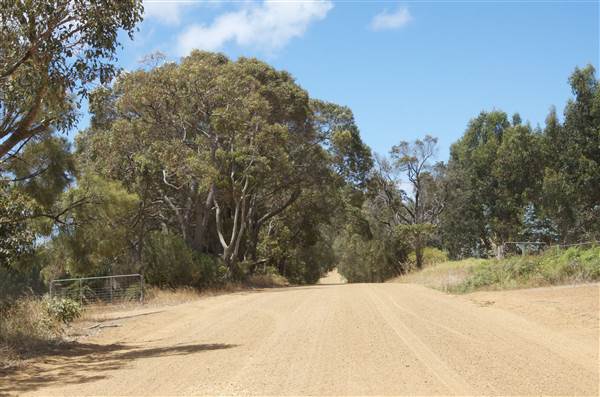 Mount  Richards Rd -Kalgan (12/03/2015)