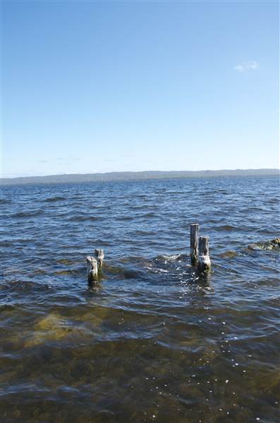 Wilson Inlet (inc.Boat Landing), Denmark (12/03/2015)