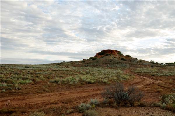 Coolgardie Outskirts (19/03/2015 - Credits: Tim Burns)
