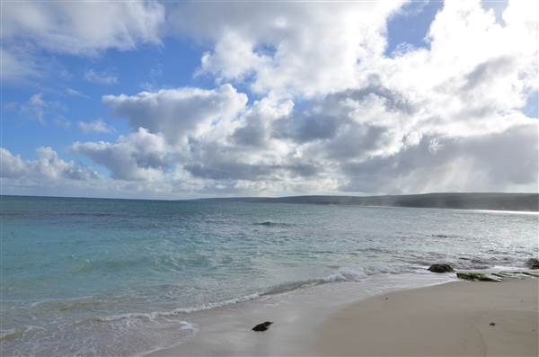 Hamelin Bay (23/03/2015)