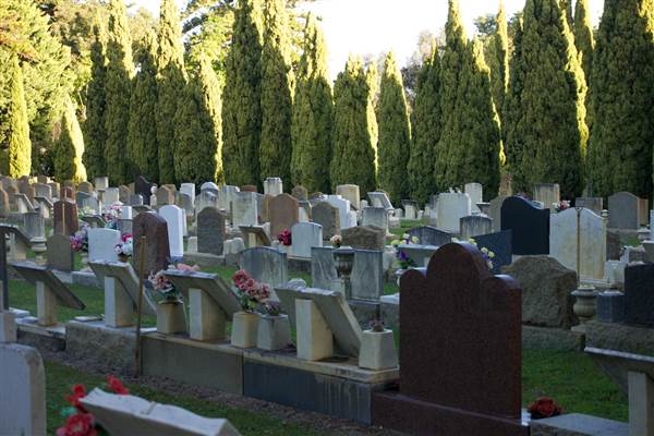 Karrakatta Cemetery (24/03/2015)