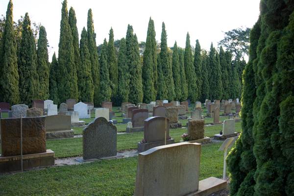 Karrakatta Cemetery (24/03/2015)