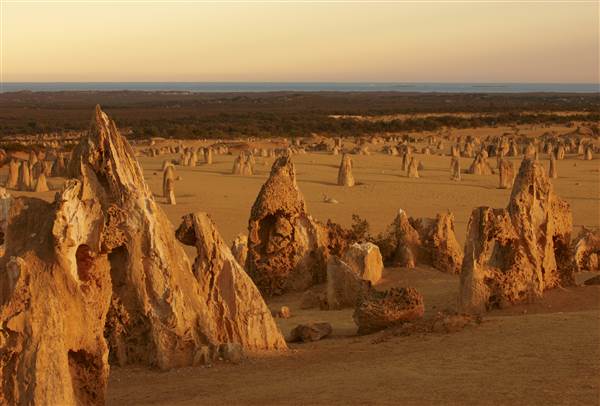 Pinnacles - Nambung National Park (25/03/2015)