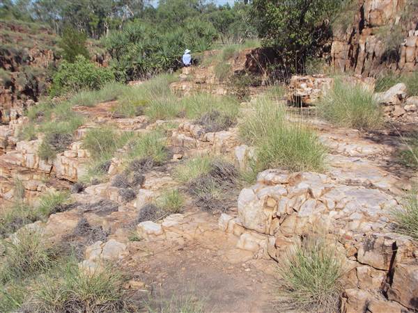 Tier Gorge (25/03/2015)