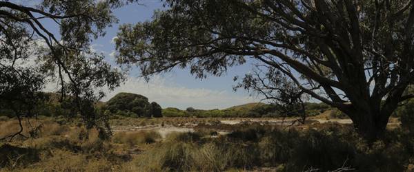Rottnest Island (24/09/2015)