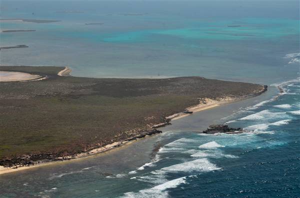 Abrolhos Islands - West Wallabi Island (15/12/2015 - Credits: Chris Veerhuis)