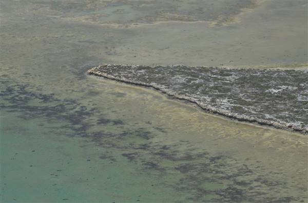 Abrolhos Islands - West Wallabi Island (15/12/2015 - Credits: Chris Veerhuis)