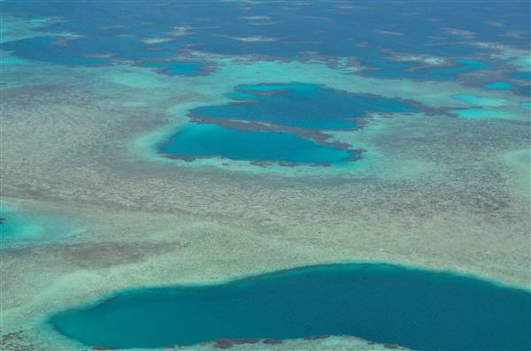 Abrolhos Islands - Pelsaert Island (15/12/2015)