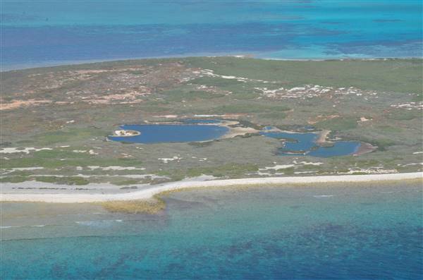 Abrolhos Islands - Pelsaert Island (15/12/2015)