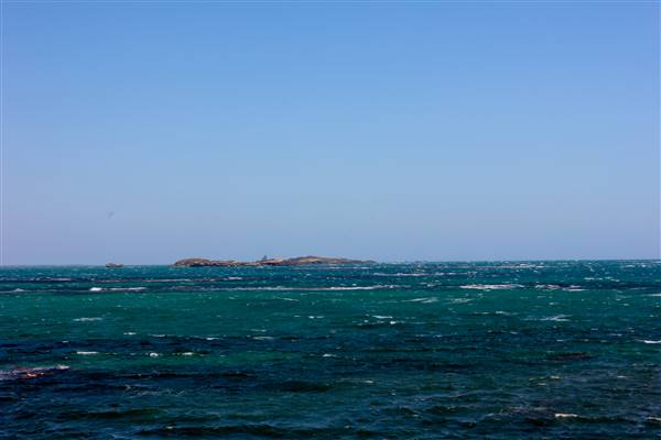 Cape Peron - Rockingham - from land (21/12/2015 - Credits: Chris Veerhuis)