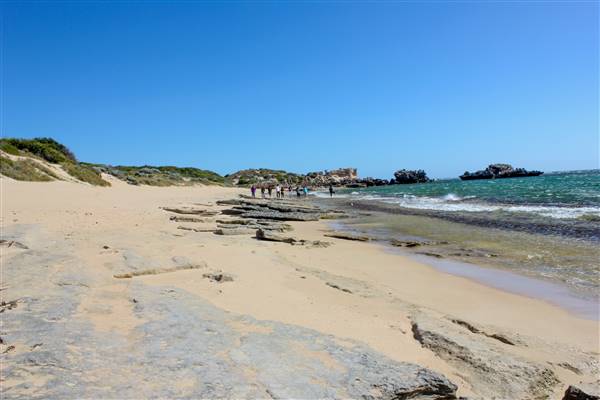 Cape Peron - Rockingham - from land (21/12/2015 - Credits: Chris Veerhuis)
