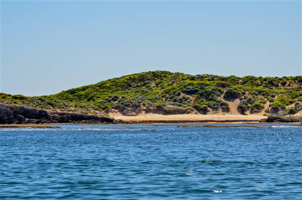 Cape Peron - Rockingham - from water (21/12/2015 - Credits: Chris Veerhuis)