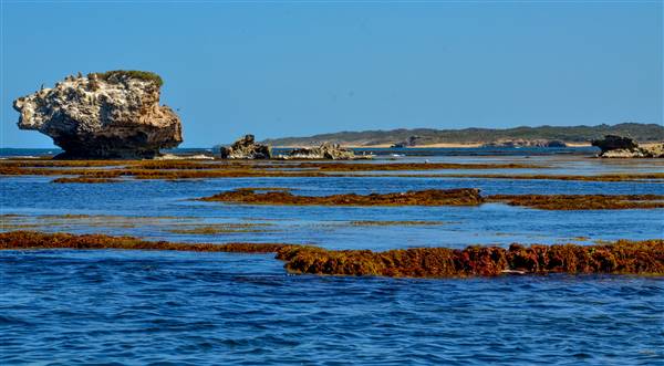Cape Peron - Rockingham - from water (21/12/2015 - Credits: Chris Veerhuis)