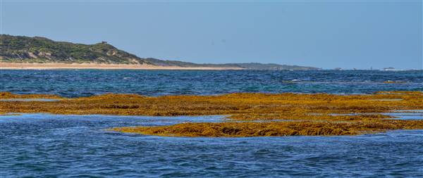 Garden Island - Ewing Bay (22/12/2015 - Credits: Chris Veerhuis)