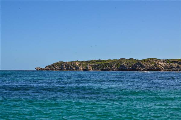 Garden Island - Collins Point - from water (22/12/2015 - Credits: Chris Veerhuis)