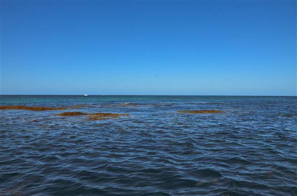 Garden Island - Calista Point - from water (22/12/2015 - Credits: Chris Veerhuis)