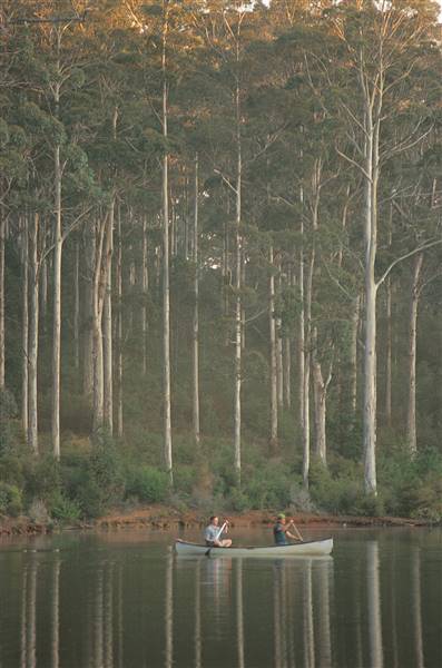 Pemberton - Big Brook Dam (8/07/2016 - Credits: Tourism WA)