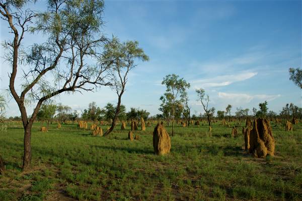 Derby - Landscapes - Road to Broome (14/07/2016 - Credits: Tim Burns)