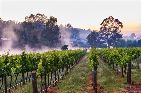 Millbrook Winery (5/09/2016)