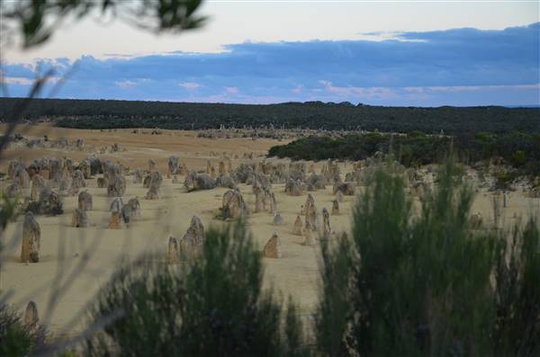 Pinnacles - Nambung National Park (27/06/2016 - Credits: Chris Veerhuis)