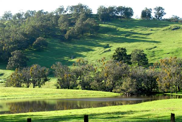 Nannup (8/12/2016 - Credits: SW Images)
