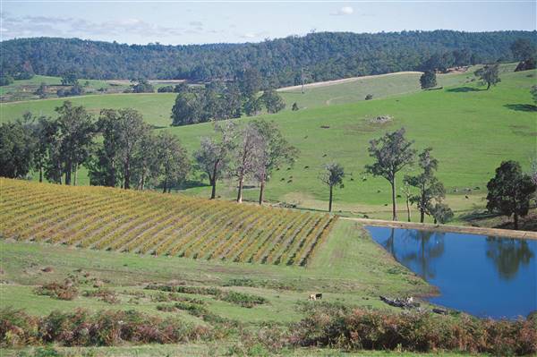 Ferguson Valley (18/01/2017 - Credits: Tourism WA)