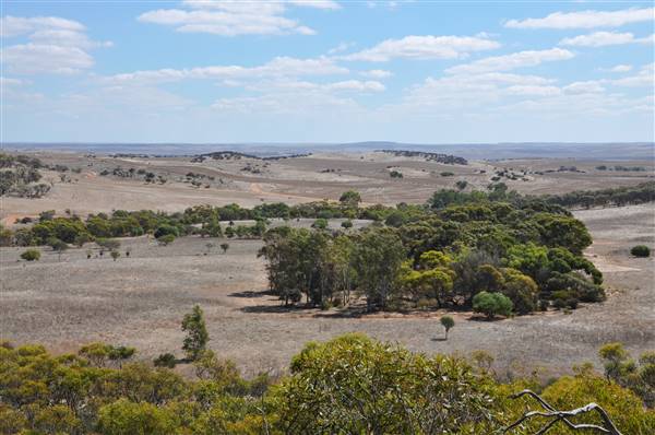 Chapman Valley - Mills Lookout (3/05/2017 - Credits: Chris Veerhuis)