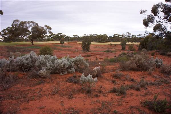 Goldfields Golf Club (9/08/2017 - Credits: Tim Burns)