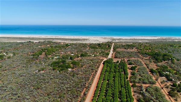 Coconut Wells (Goolarabooloo Millibinyarri) (12/01/2018 - Credits: Paul Bell)
