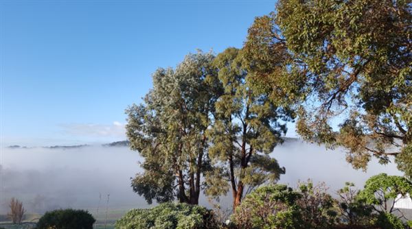 Little Hill Farm Bridgetown (28/03/2018 - Credits: Little Hill Farm Bridgetown (Pics take in March 2018 Summer))