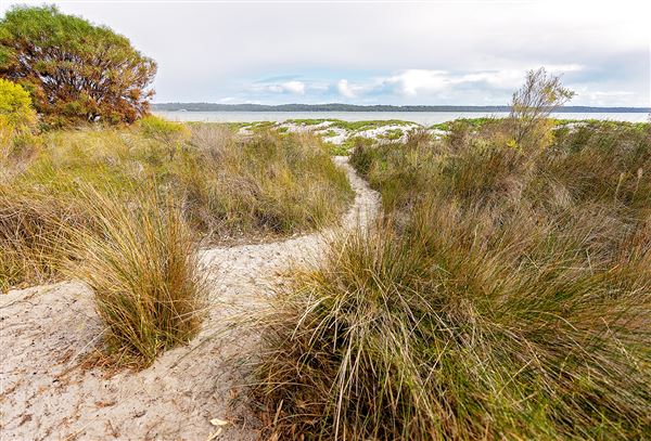Herron Point, Birchmont - Herron Point shoreline and walking tracks (7/06/2020)