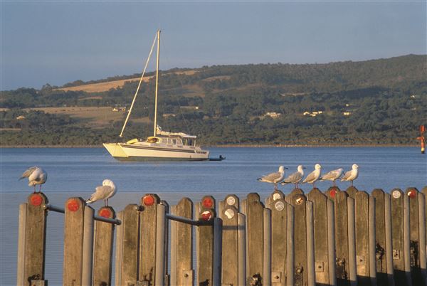 Albany - Emu Point (1/11/2020 - Credits: Google Search. Images may be subject to Copyright)