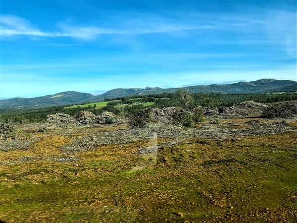 Craigendarroch, Porongurup (2/11/2021 - Credits: CMMS ELPS)