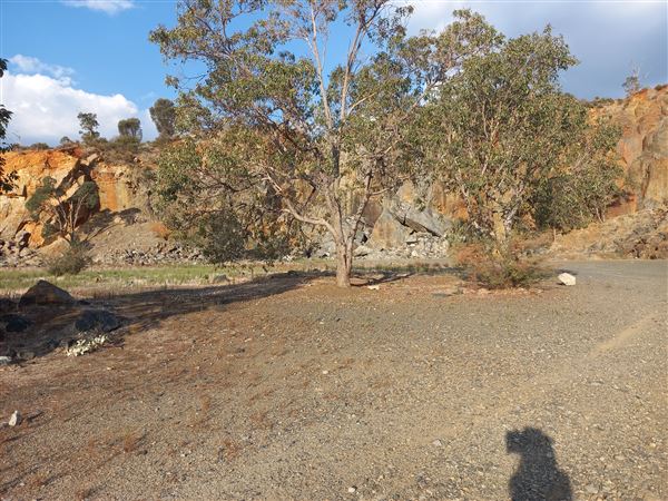 Statham's Quarry (11/12/2021 - Credits: Rachael Hawkins)