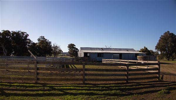 Greenhills farm buildings (Shearing shed, silos, general shed) - Shearing shed, silos, general shed (12/07/2022 - Credits: Kerryn Chia)