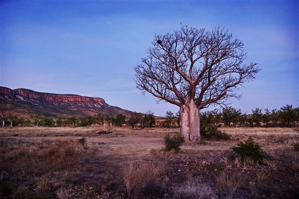 El Questro - Cockburn Range, Kimberley (11/10/2022 - Credits: Tourism Western Australia)