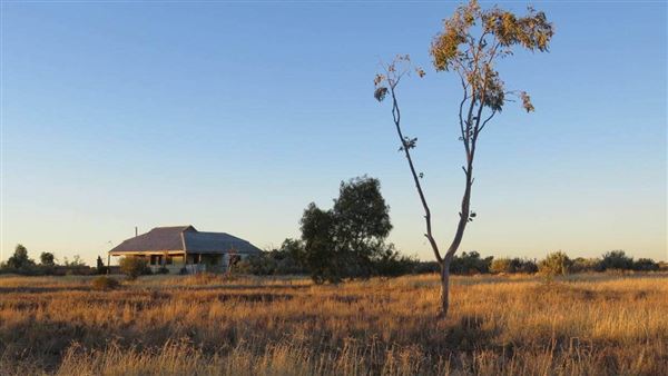 Great Southern Rail -  Indian Pacific Train (12/10/2022 - Credits: Tourism Western Australia)