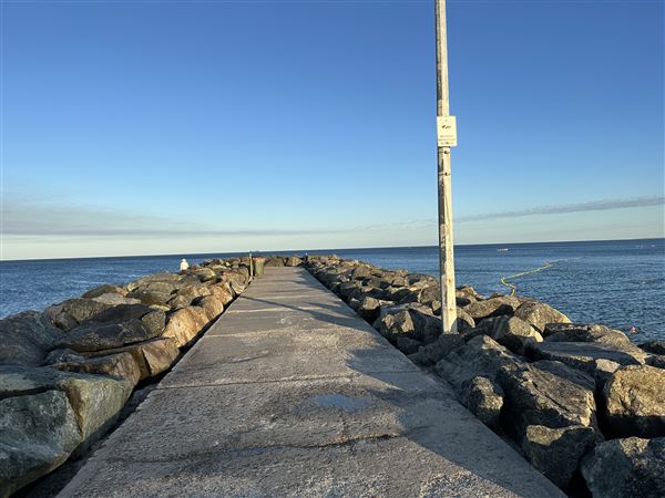 Cottesloe Beach - Cottesloe Beach in the Morning (7/12/2022 - Credits: Crystal Munitich McCallum)