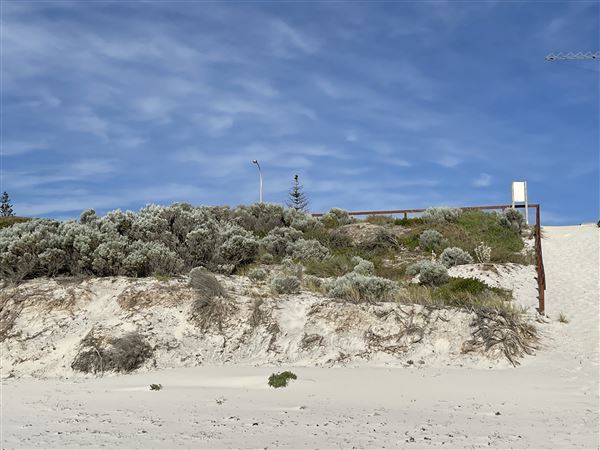 Dutch Inn Beach - Afternoon (7/12/2022 - Credits: Crystal Munitich McCallum)