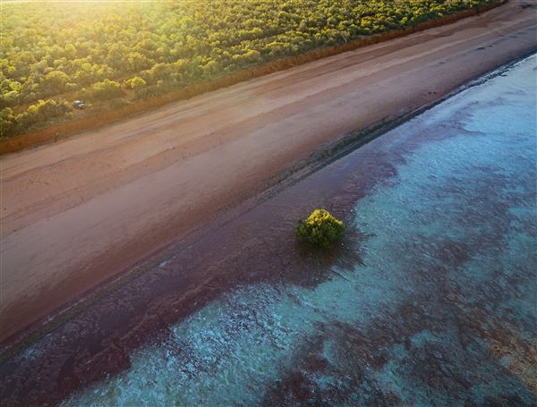 Broome - Roebuck Bay coast (13/04/2023 - Credits: Tourism Western Australia)