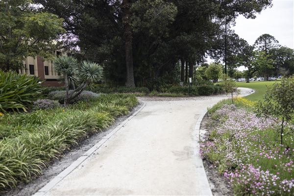 Supreme Court Gardens (18/10/2023 - Credits: Shea Walsh)