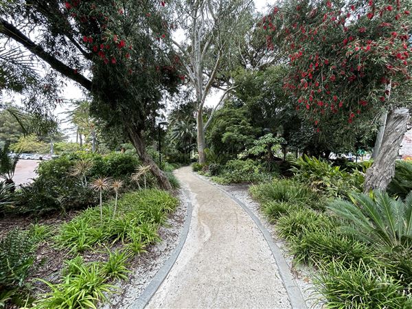 Supreme Court Gardens (18/10/2023 - Credits: Shea Walsh)
