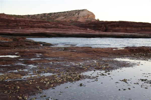 Kalbarri - Red Bluff and Red Bluff Beach (6/06/2023)