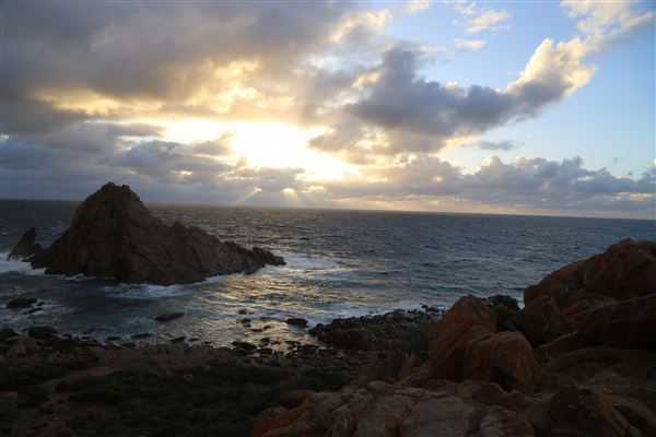 Cape Naturaliste - Sugar Loaf (6/06/2023 - Credits: Aidan O'Bryan)