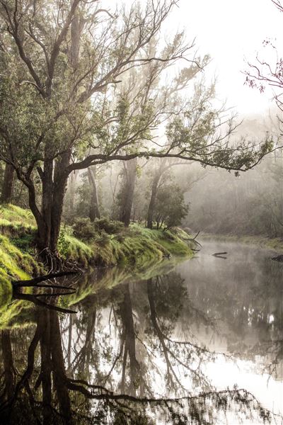 Nannup (25/03/2024 - Credits: Tourism Western Australia)